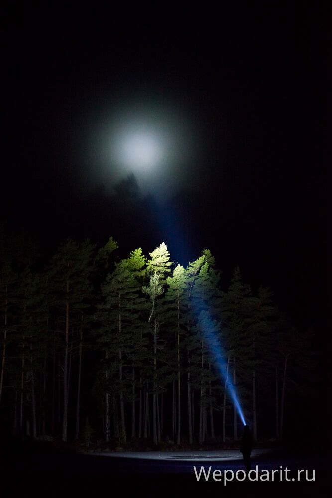 людина світить ліхтариком в лісі