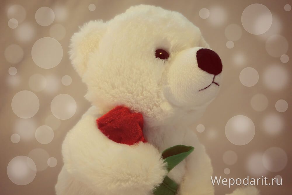 милий білий ведмедик з трояндою в руках